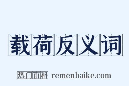 载荷反义词是什么意思的图片